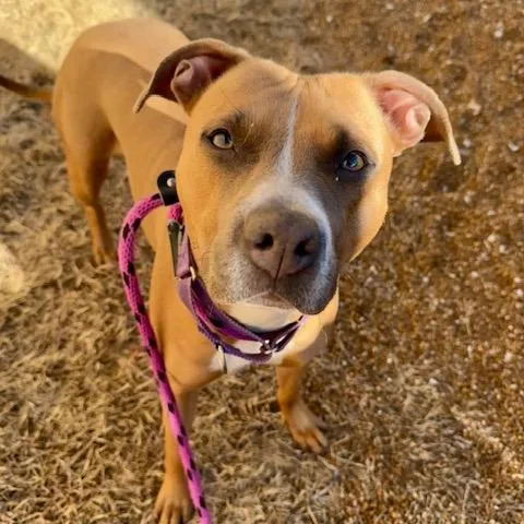 Sarasota thumbnail 4