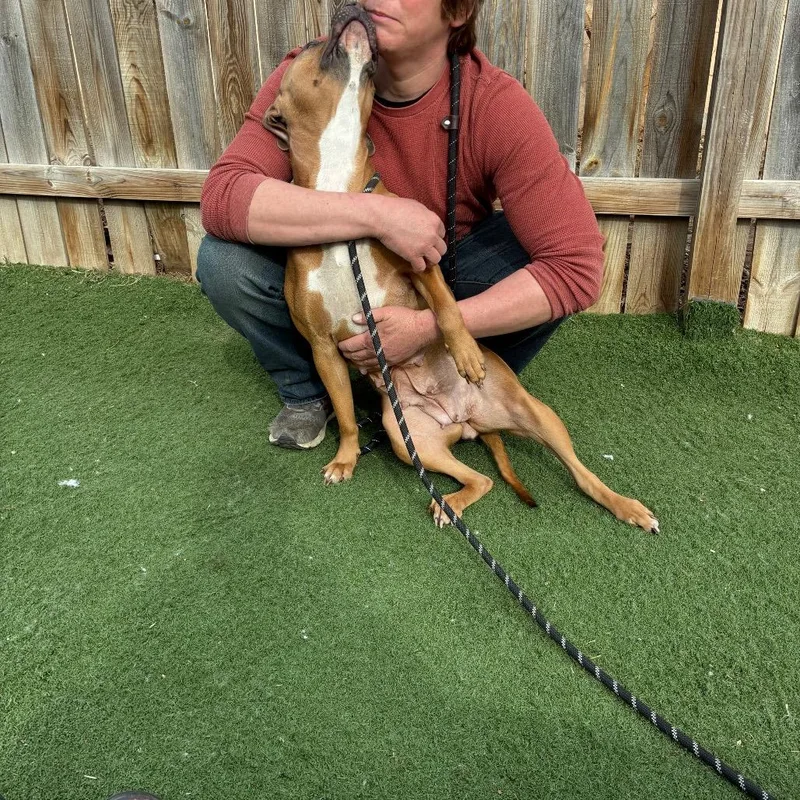 Sarasota thumbnail 5