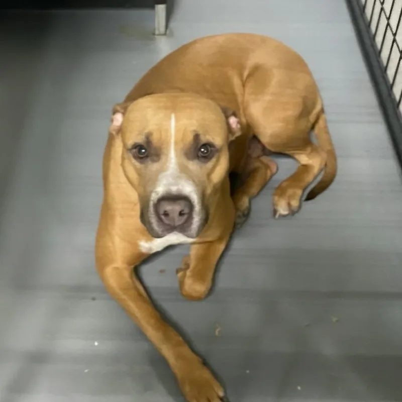 Sarasota thumbnail 6