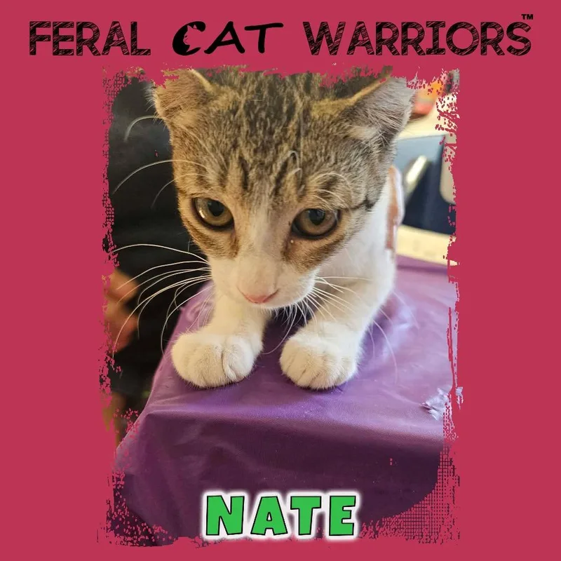 Nate