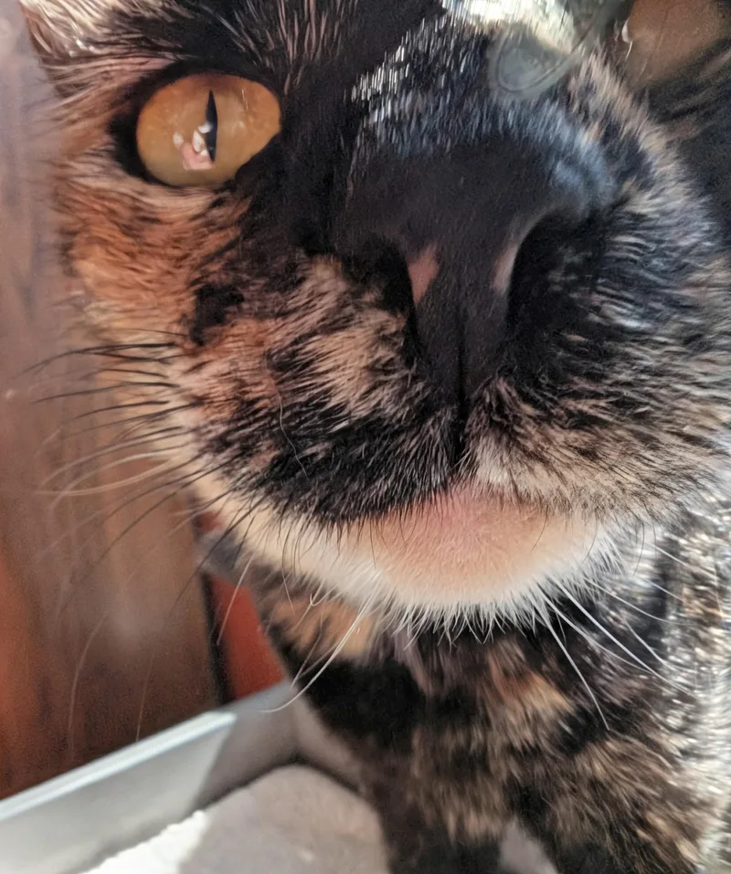 Mimia @ Fat Cat thumbnail 2