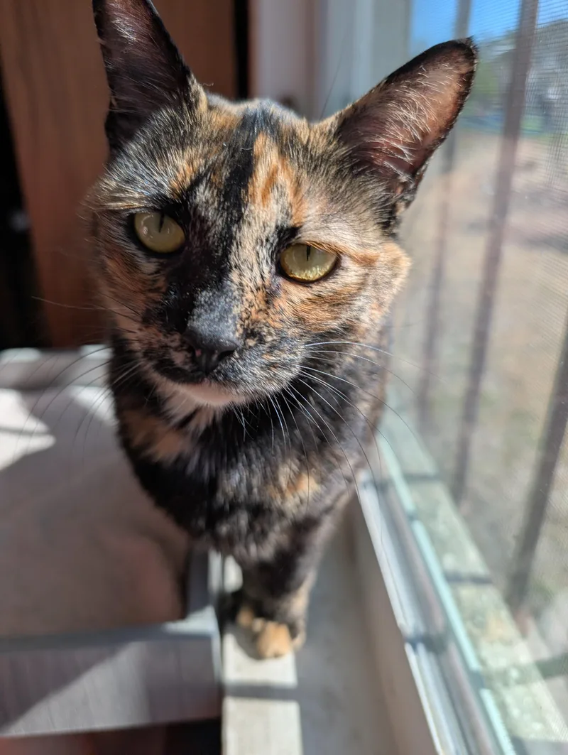 Mimia @ Fat Cat thumbnail 3