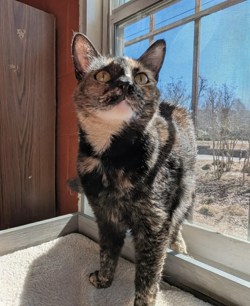 Mimia @ Fat Cat thumbnail 4