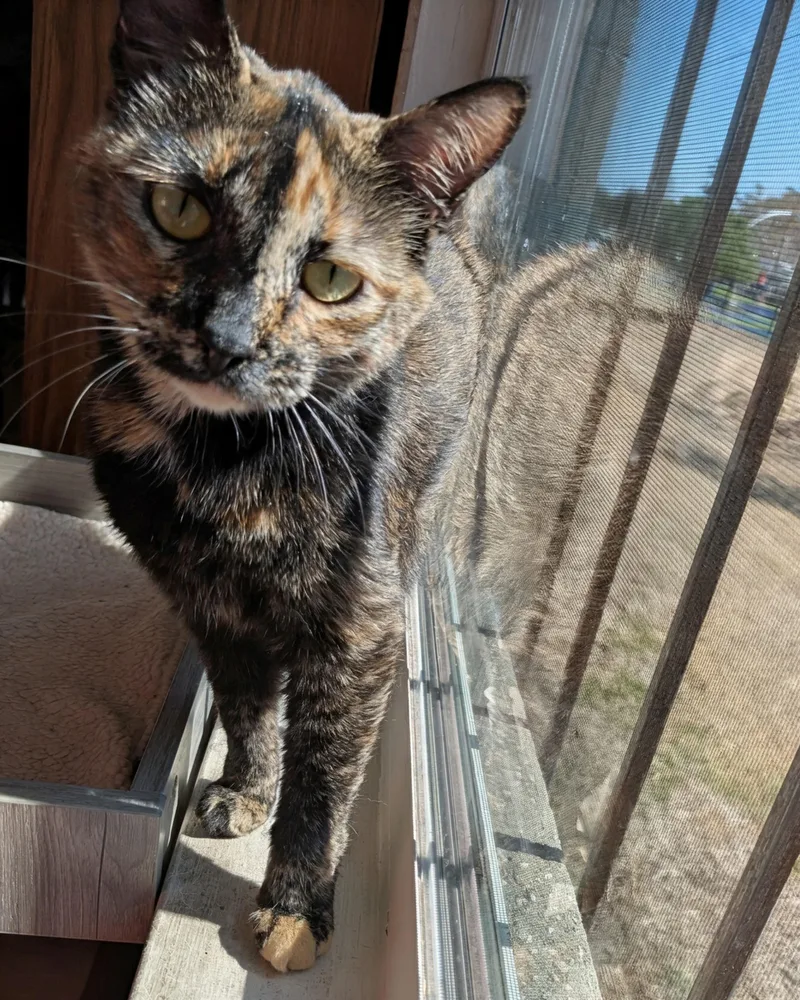 Mimia @ Fat Cat thumbnail 5