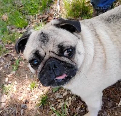 Charlie