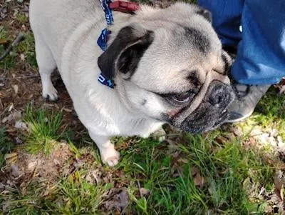 Charlie thumbnail 2