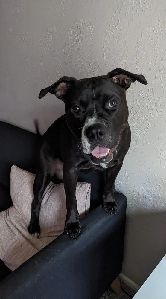 Princess thumbnail 2