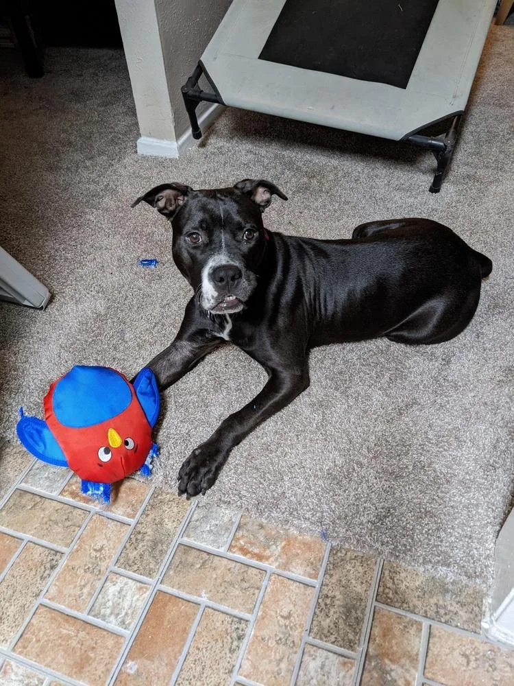 Princess thumbnail 3