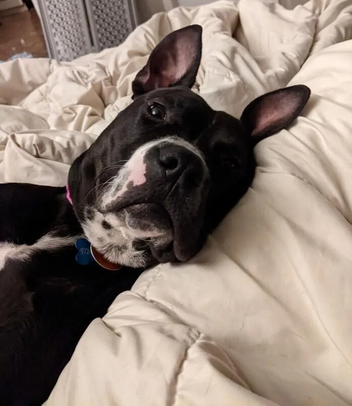 Princess thumbnail 4