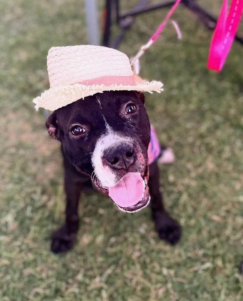 Princess thumbnail 5