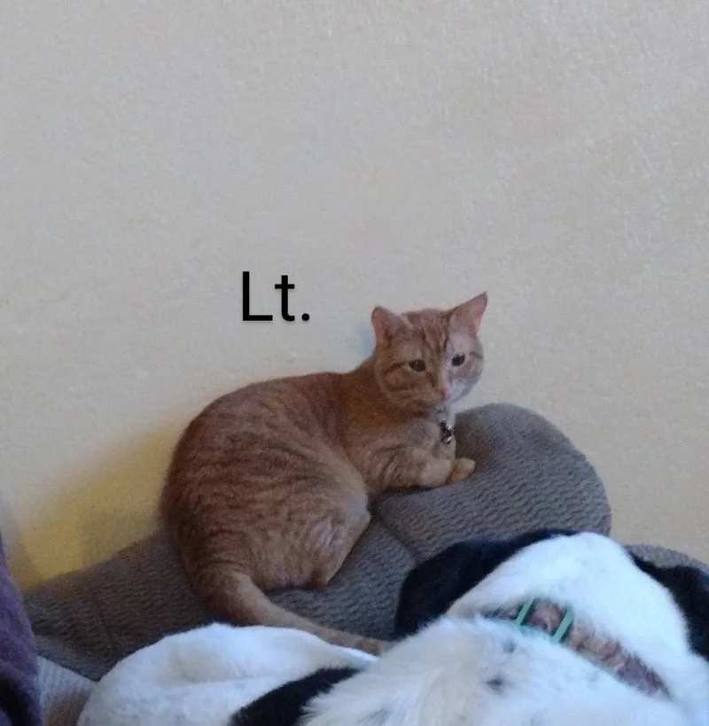 Lt. Boney Sides thumbnail 2