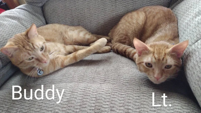 Lt. Boney Sides thumbnail 3