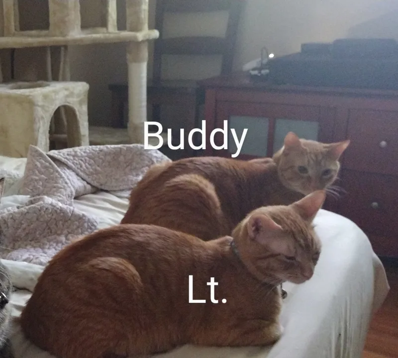 Lt. Boney Sides thumbnail 5