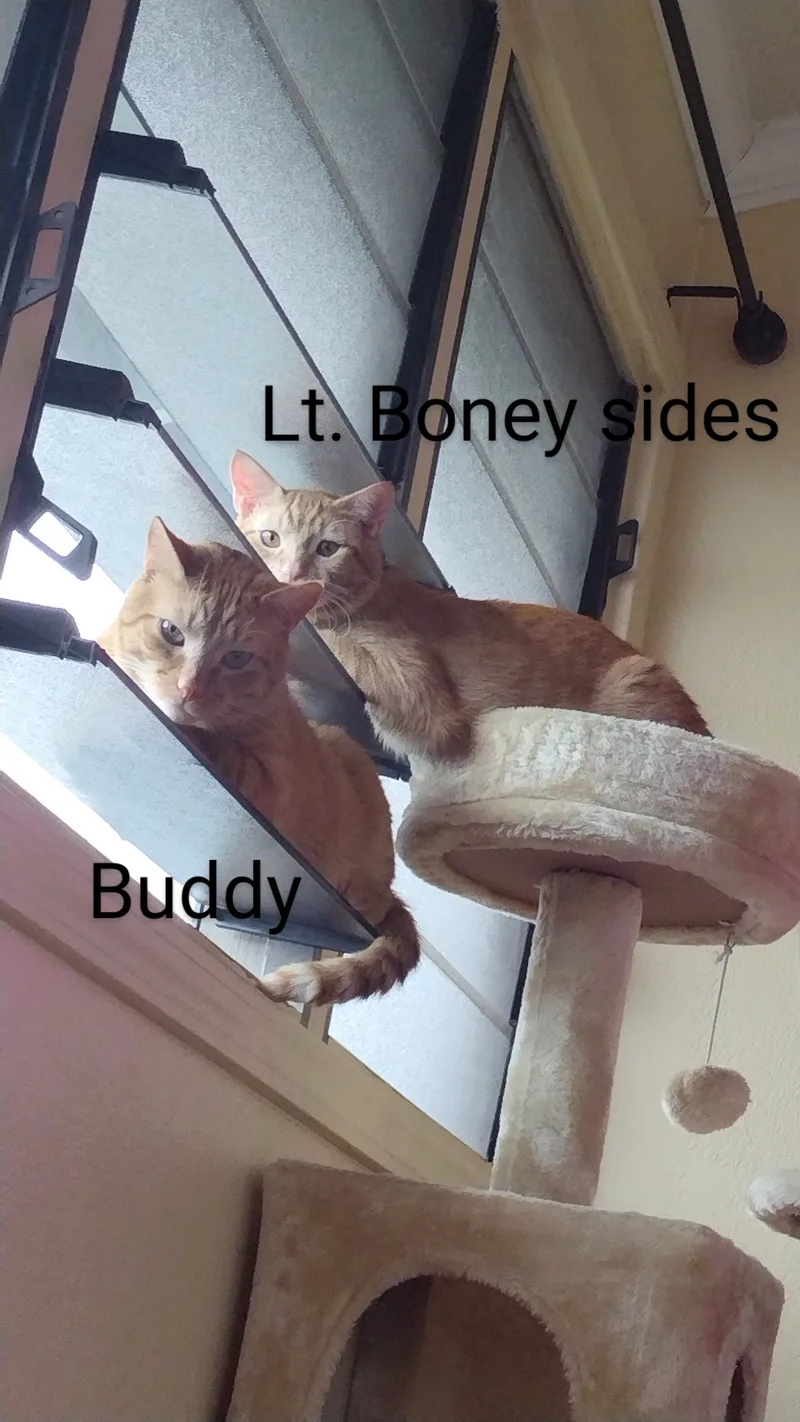 Lt. Boney Sides thumbnail 6