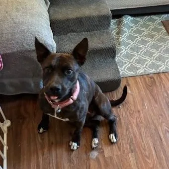 Ellie Belly thumbnail 4