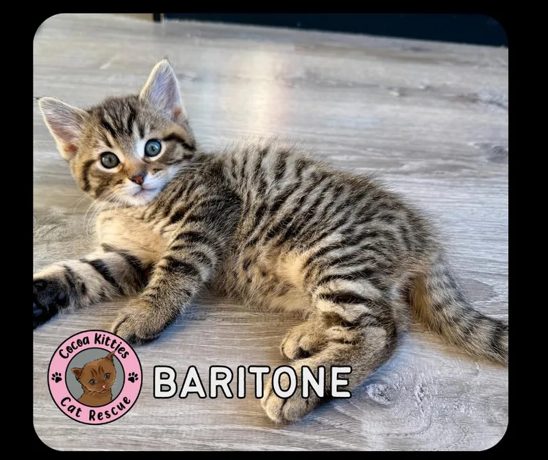 Baritone