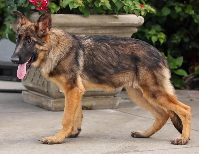 Mandy Von Moutier thumbnail 2