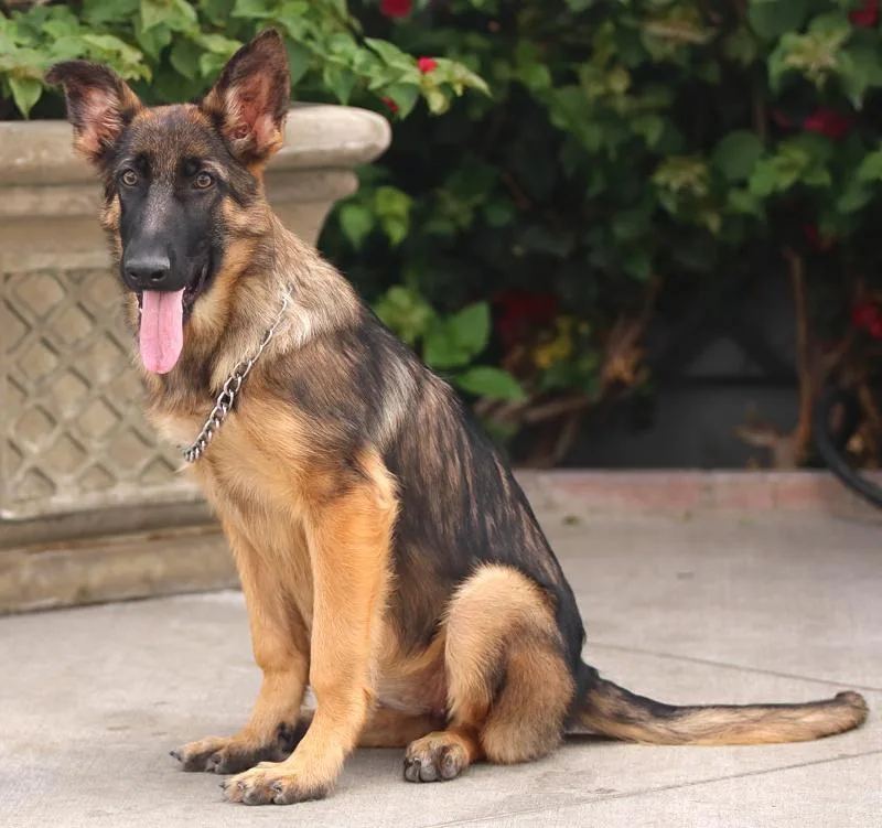 Mandy Von Moutier thumbnail 3