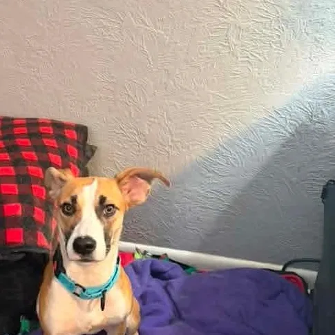 Libby thumbnail 3