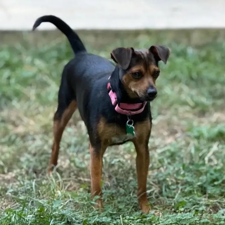 Coco