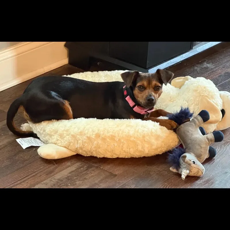 Coco thumbnail 3