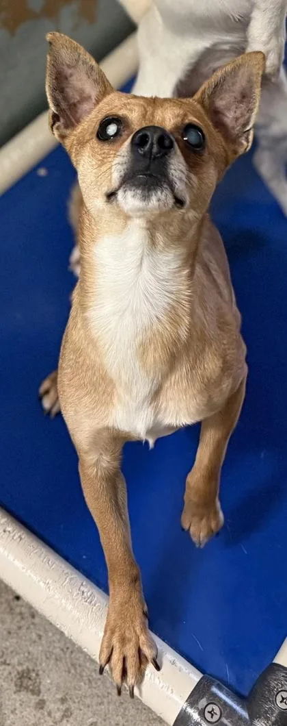 Grizzley thumbnail 3