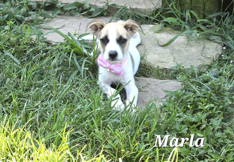 Marla Mars thumbnail 3