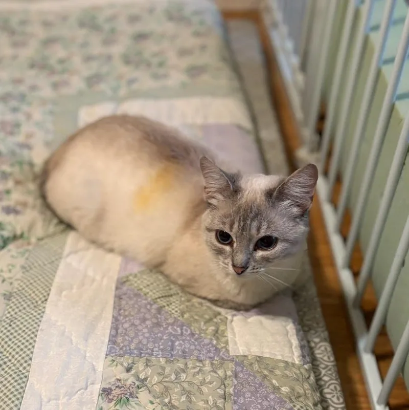 Josielyn thumbnail 2