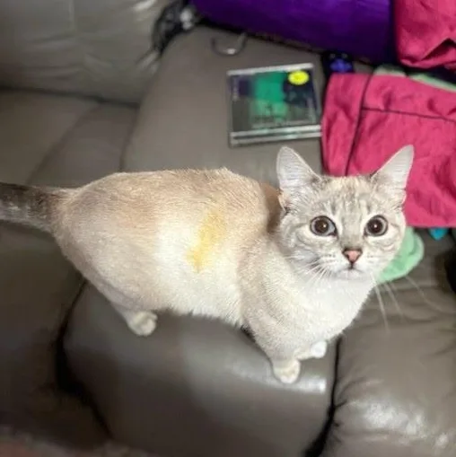 Josielyn thumbnail 3