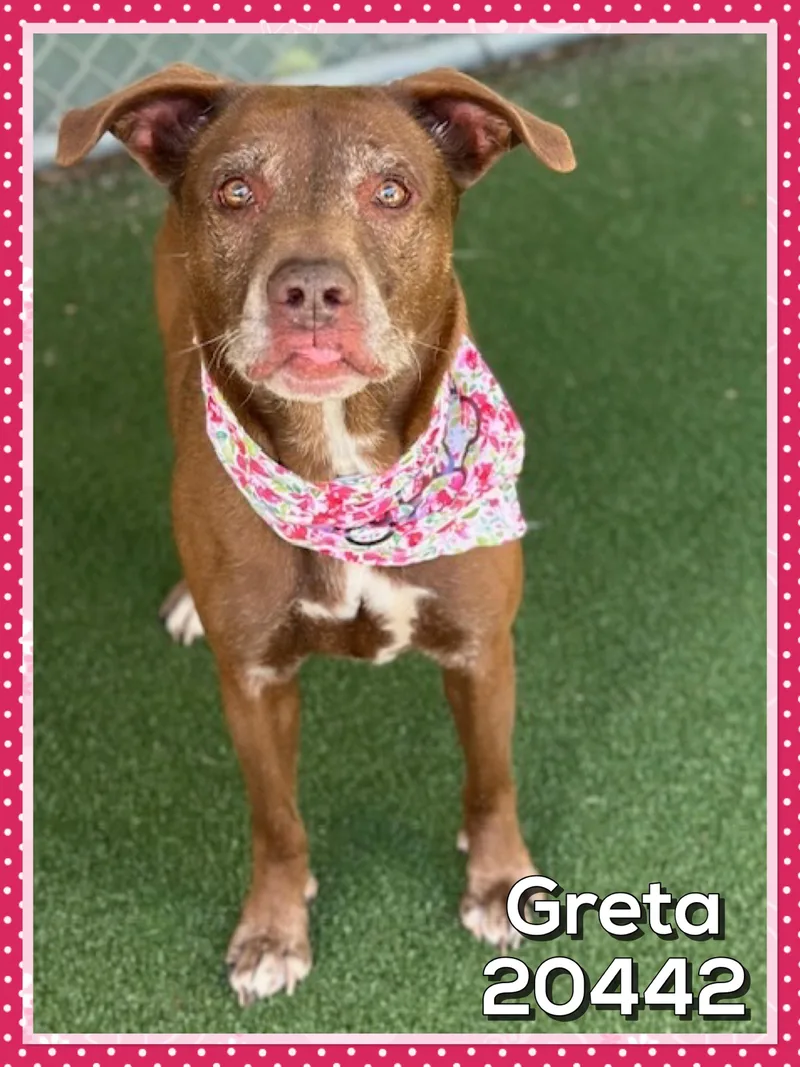 Greta thumbnail 2
