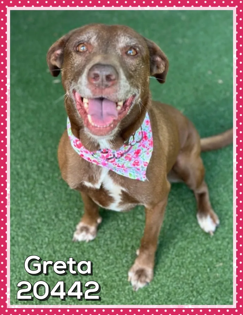 Greta thumbnail 3