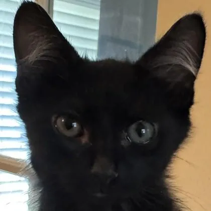 Catrick Swayze thumbnail 3