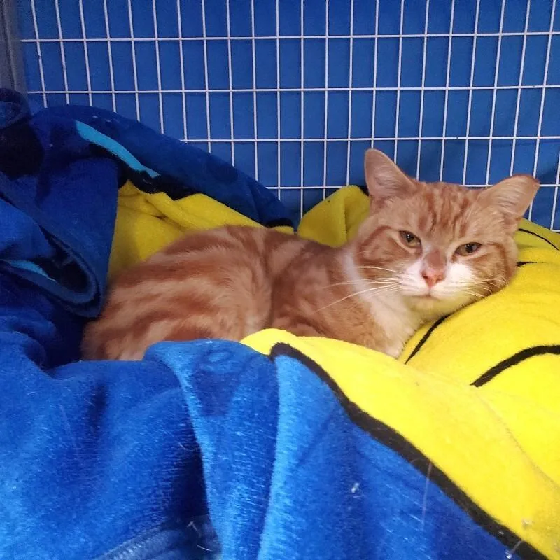 Rusty Bottoms thumbnail 2