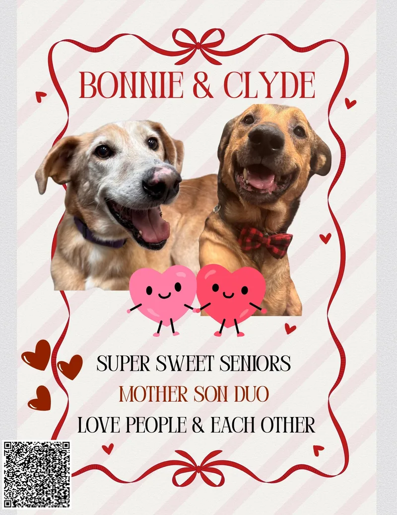 Bonnie Cm thumbnail 2