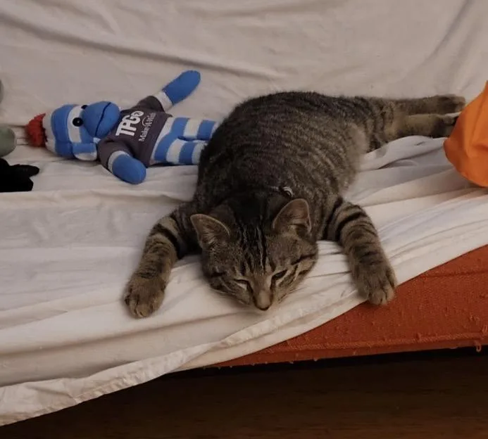 Thor And Loki thumbnail 2