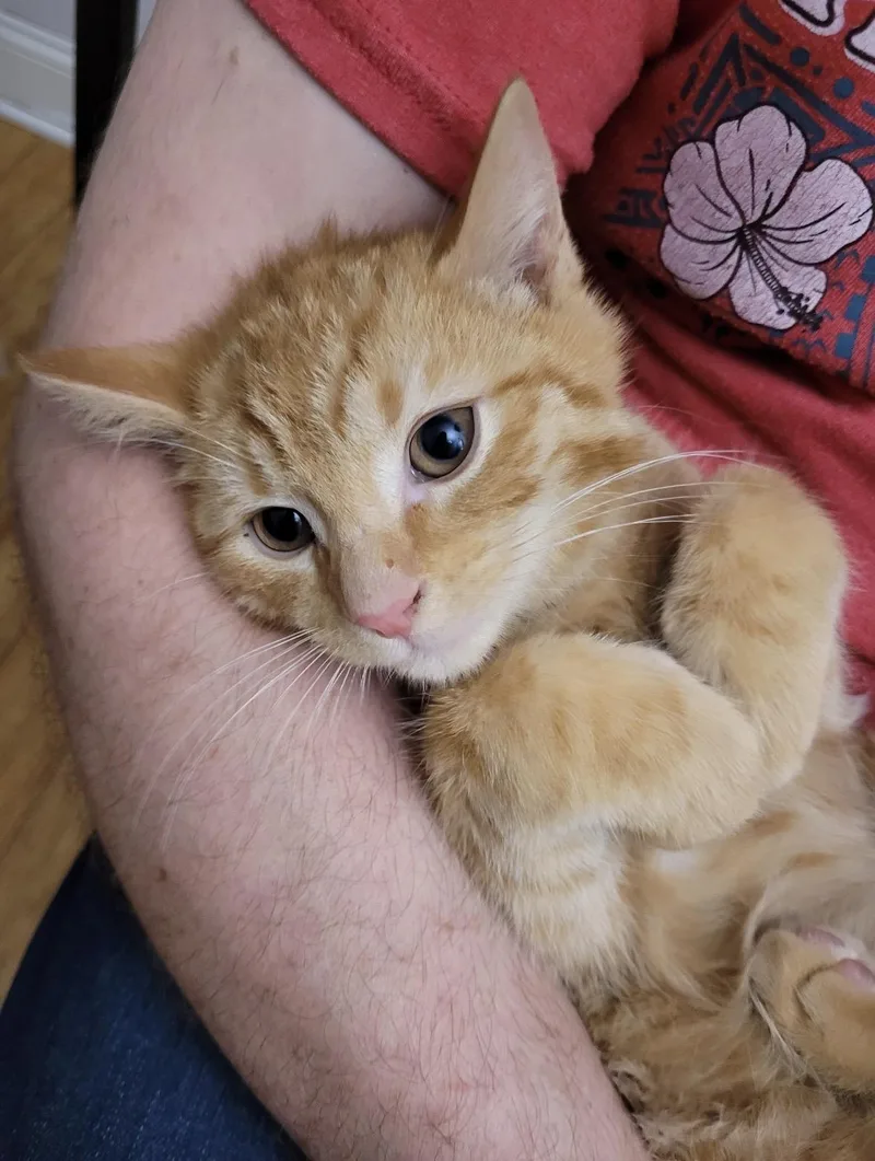 Thor And Loki thumbnail 3