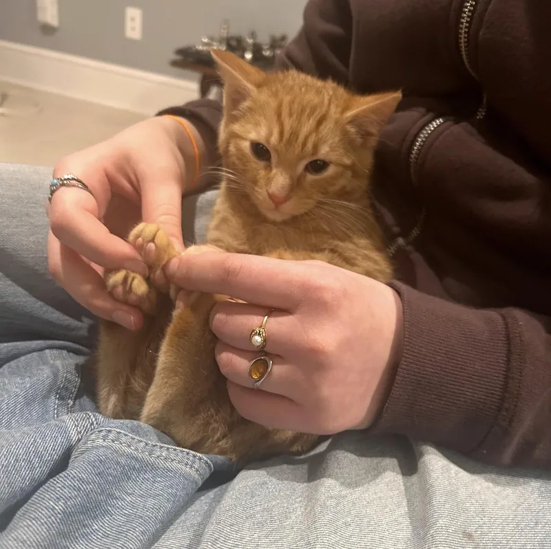 Thor And Loki thumbnail 4