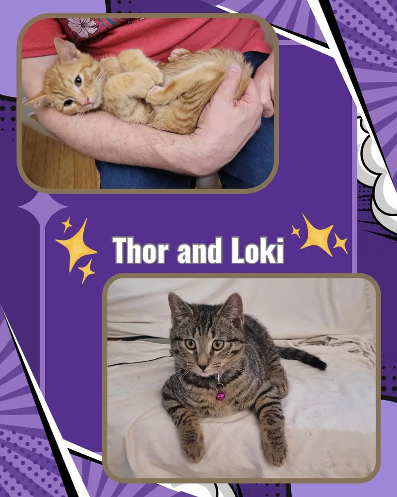 Thor And Loki