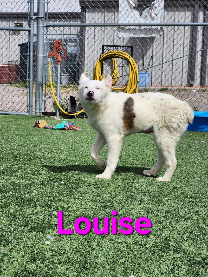 Louise