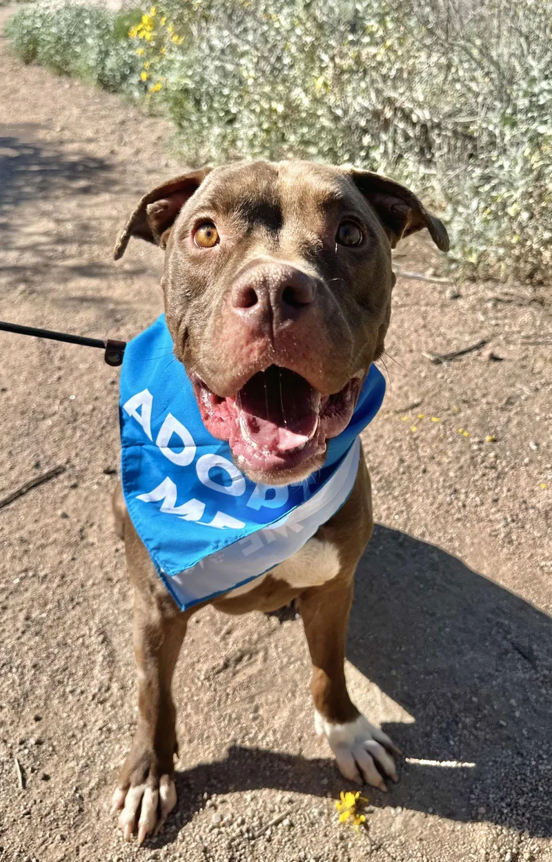 Marky Mark thumbnail 2