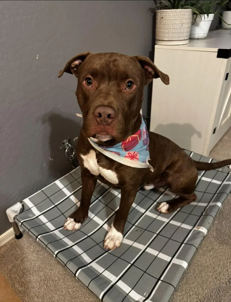 Marky Mark thumbnail 3