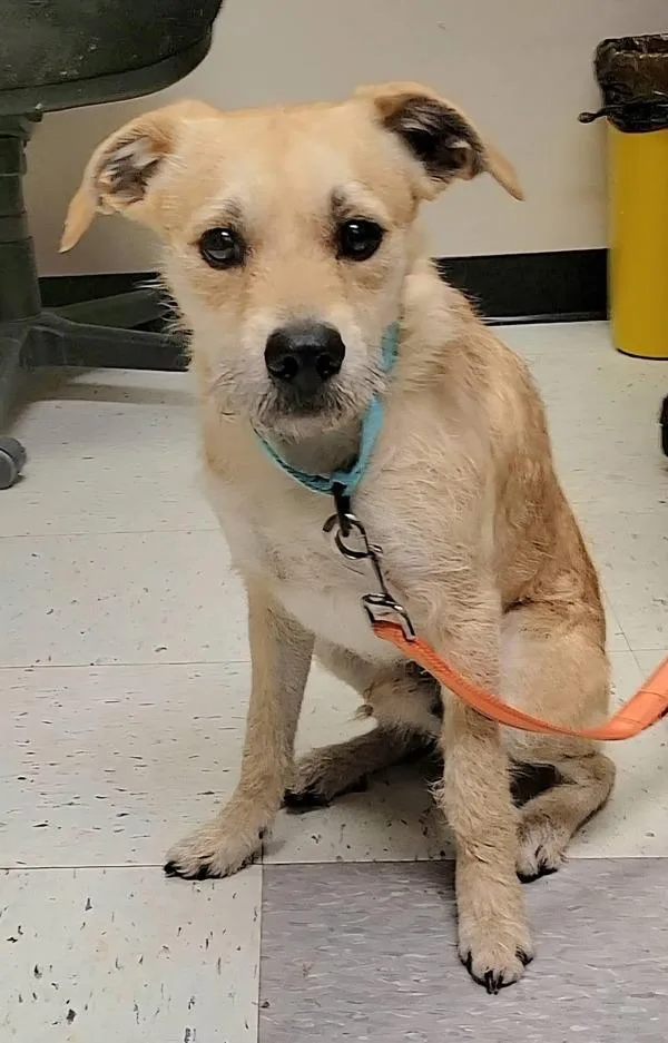 Max's Taxes thumbnail 2