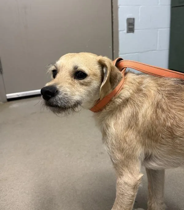 Max's Taxes thumbnail 3