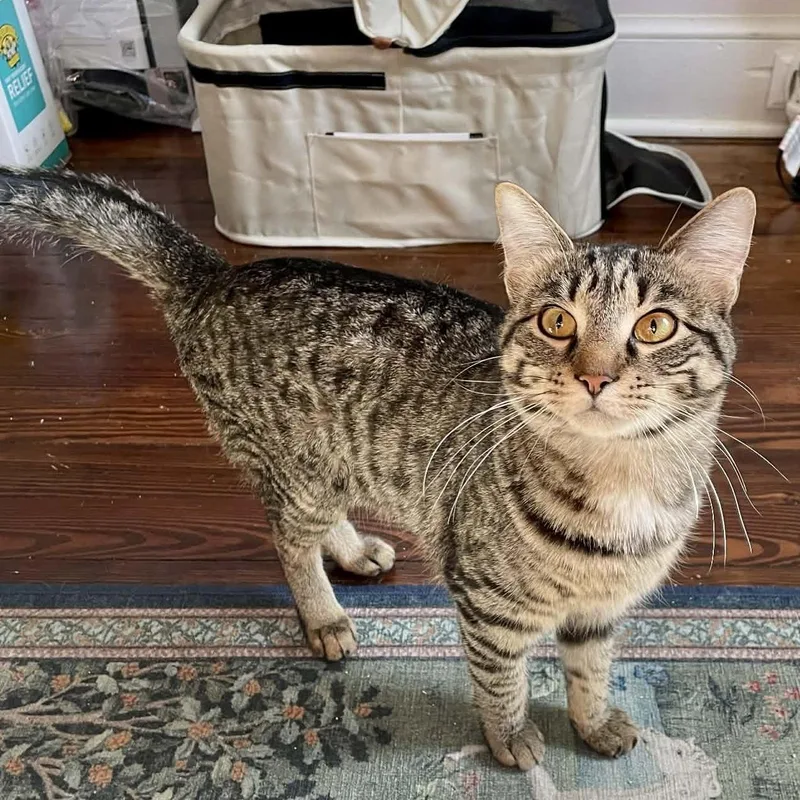 Robin & Ivy thumbnail 2