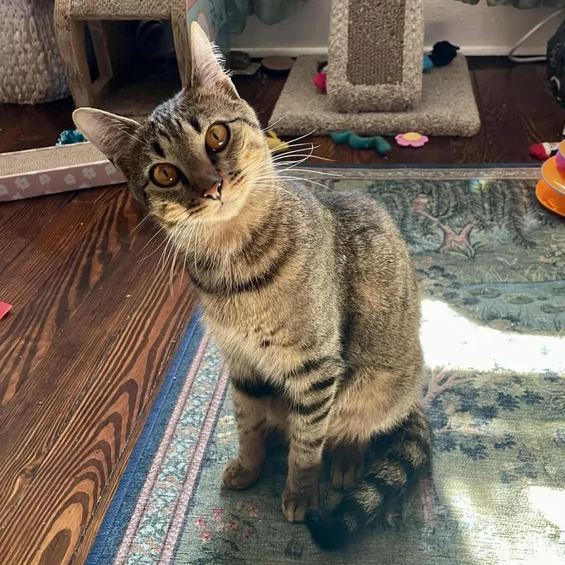 Robin & Ivy thumbnail 3