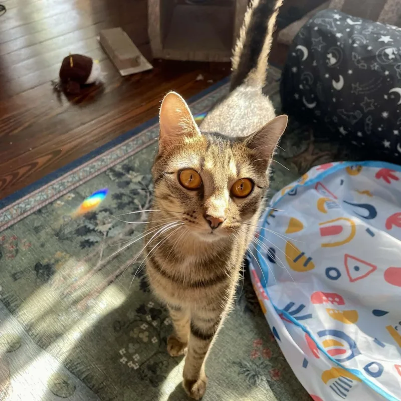 Robin & Ivy thumbnail 4