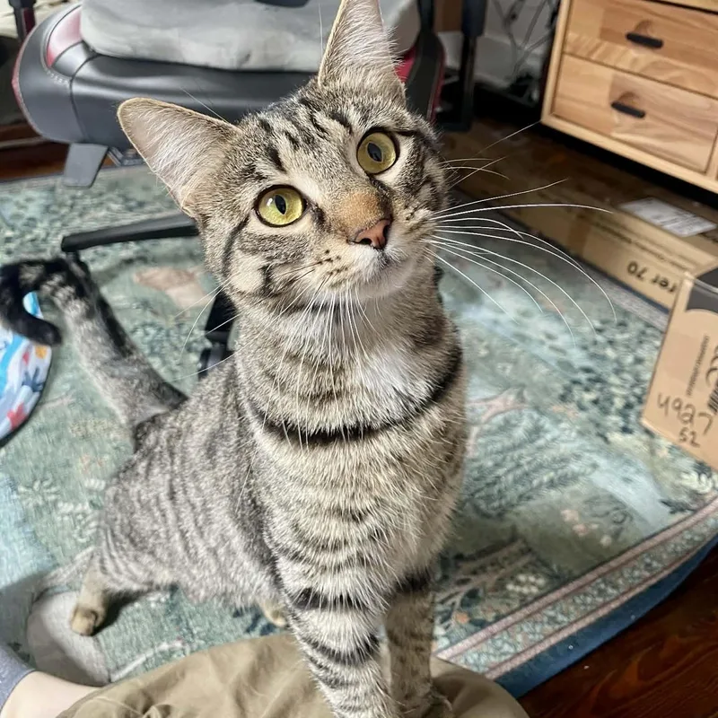 Robin & Ivy thumbnail 5