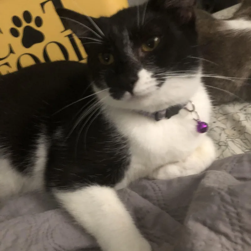 Mystique thumbnail 2