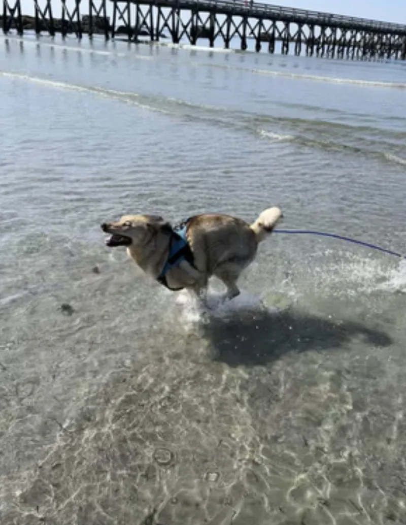 Juno thumbnail 2