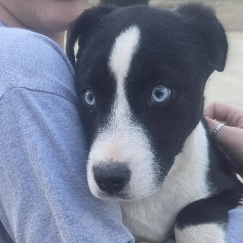 Caroline thumbnail 2